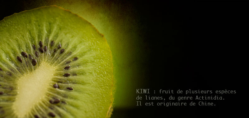 fiche kiwi